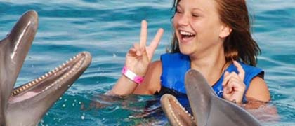 Zwemmen met Dolfijnen